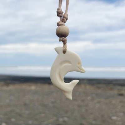 Oya Ocean跳躍海豚1