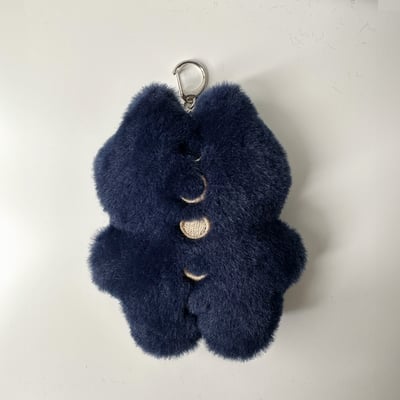 月亮貓貓短毛-英文名字2