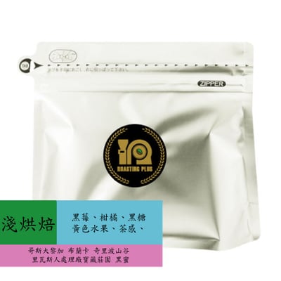 哥斯大黎加 布蘭卡 奇里波山谷 里瓦斯人處理廠寶藏莊園 黑蜜1