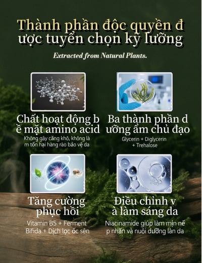 Sữa rửa mặt tinh dầu gỗ hoa lì4