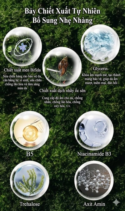 Bộ sản phẩm làm sạch cho người có ngân sách nhỏ: Sữa rửa mặt tinh dầu gỗ hoa lì (2 chai)3