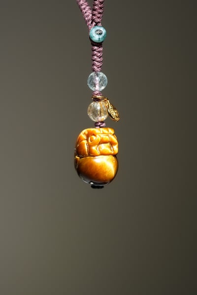 【財富神獸】霸氣咬錢，鎖住豐盛機運4