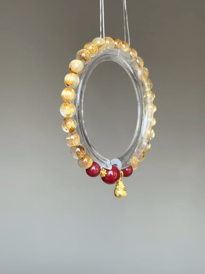 【金紫御守】攻守一體的財富堡壘2