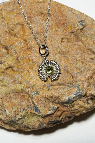 【星際許願】捷克隕石小雛菊5