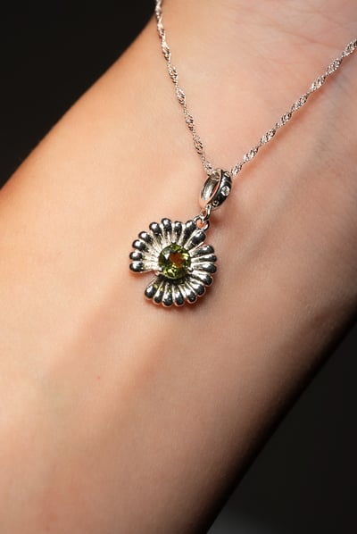 【星際許願】捷克隕石小雛菊4