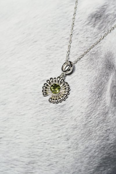 【星際許願】捷克隕石小雛菊2