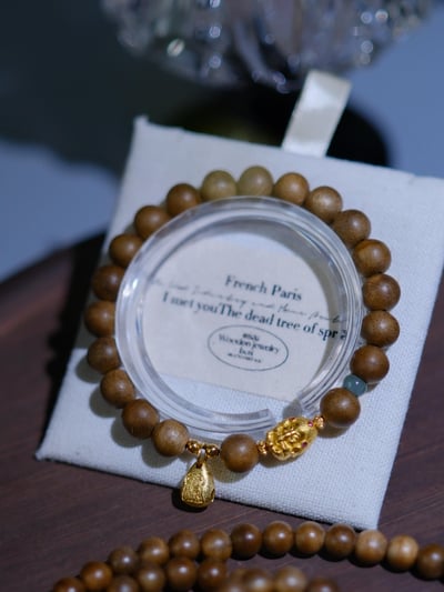 【智者無礙】破除障礙、開啟智慧與招財納福6