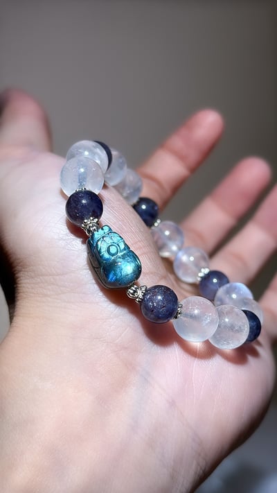 【直覺領航】鎖定目標，優雅顯化豐盛6