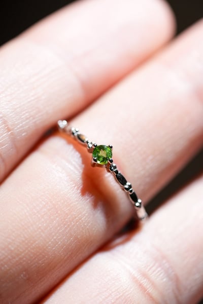 【指尖綠意】 擁抱一場 靜謐的森呼吸4