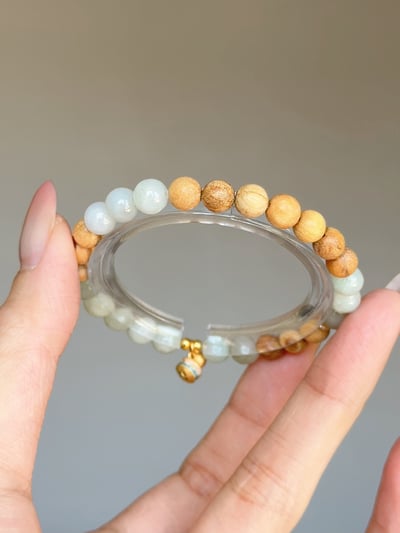 【翠木藏福】養出不費力的吸金體質3