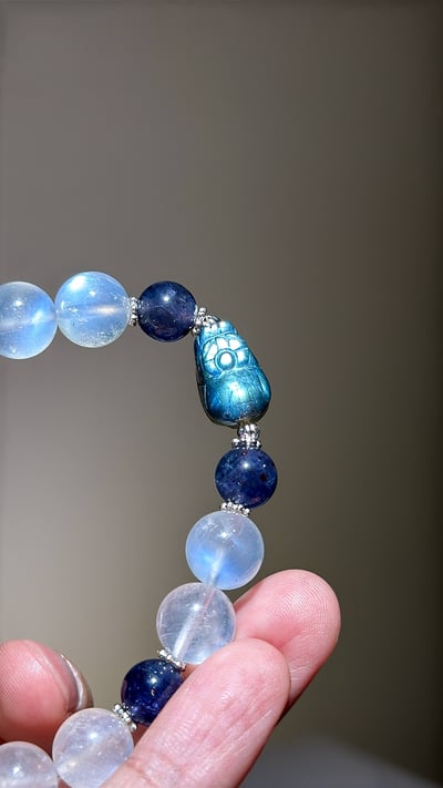 【直覺領航】鎖定目標，優雅顯化豐盛10