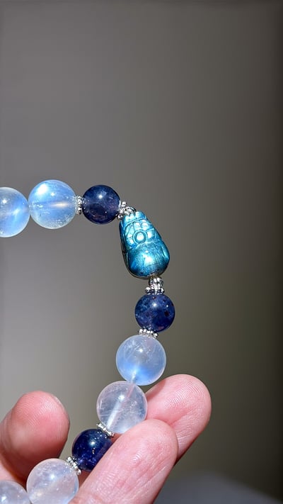 【直覺領航】鎖定目標，優雅顯化豐盛8