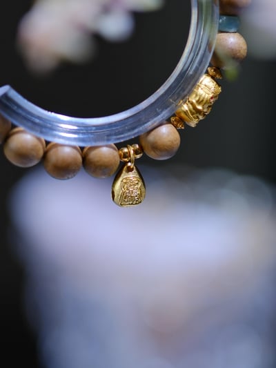 【智者無礙】破除障礙、開啟智慧與招財納福3