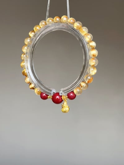 【金紫御守】攻守一體的財富堡壘3