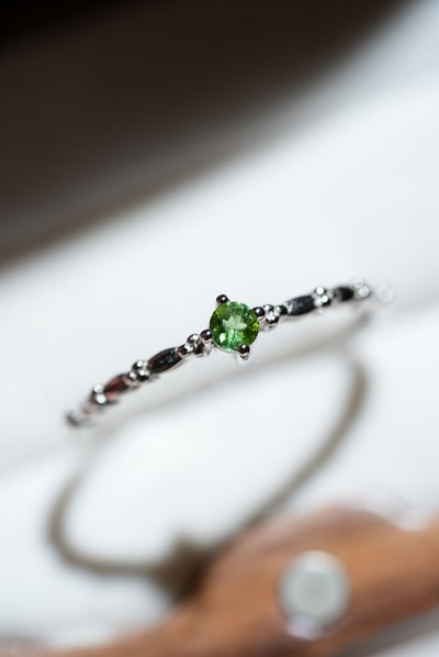 【指尖綠意】 擁抱一場 靜謐的森呼吸1