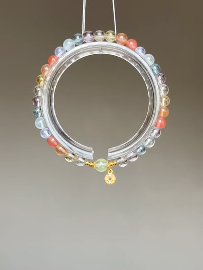 【拾光聚寶】五行交織的能量花園1