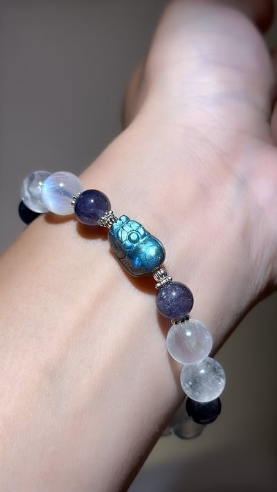 【直覺領航】鎖定目標，優雅顯化豐盛11