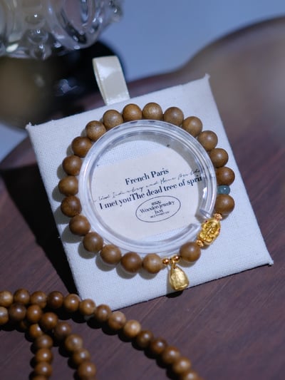 【智者無礙】破除障礙、開啟智慧與招財納福4