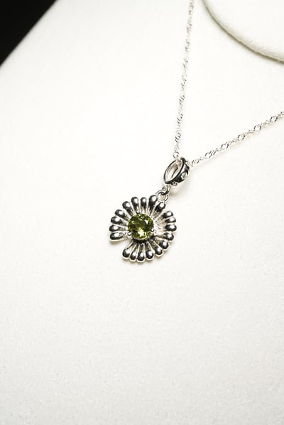 【星際許願】捷克隕石小雛菊1