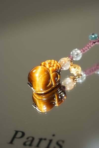 【財富神獸】霸氣咬錢，鎖住豐盛機運2