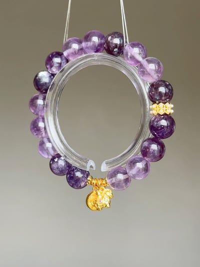 【躍影紫光】馬上有錢的優雅格局6