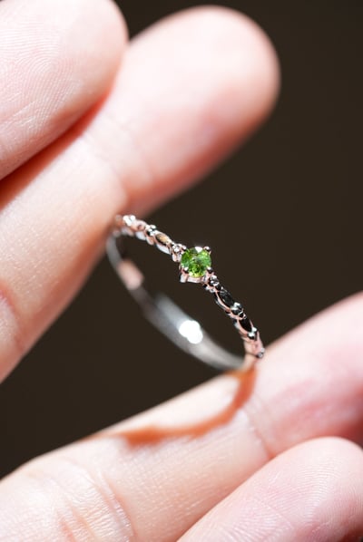 【指尖綠意】 擁抱一場 靜謐的森呼吸3