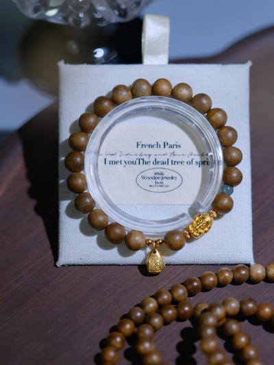 【智者無礙】破除障礙、開啟智慧與招財納福5