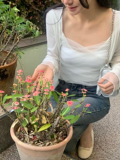 柔紗抓皺兩件式上衣2