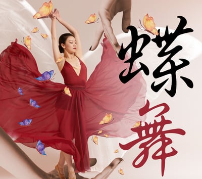 蝶舞美容手技舞蹈1