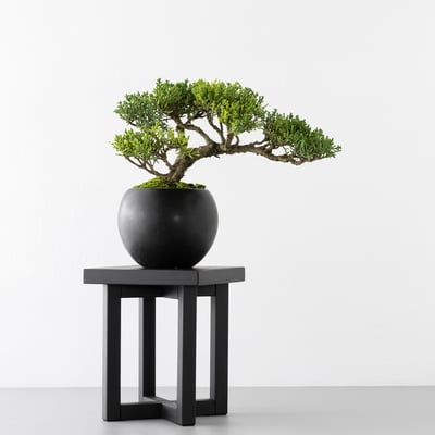 Square Wood Stand｜方形盆景陳列座4