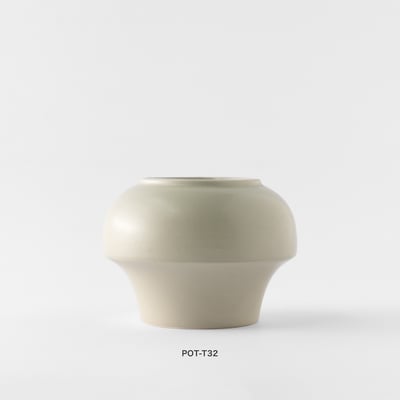 觀葉盆栽客製｜Custom Foliage Plants9
