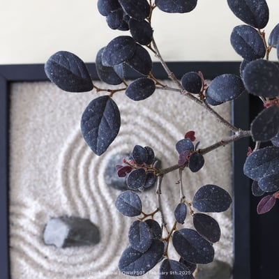 【官網限定】紅花繼木｜OWHP5018