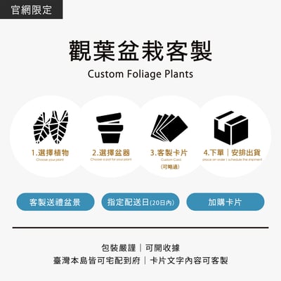 觀葉盆栽客製｜Custom Foliage Plants1