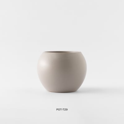 觀葉盆栽客製｜Custom Foliage Plants6