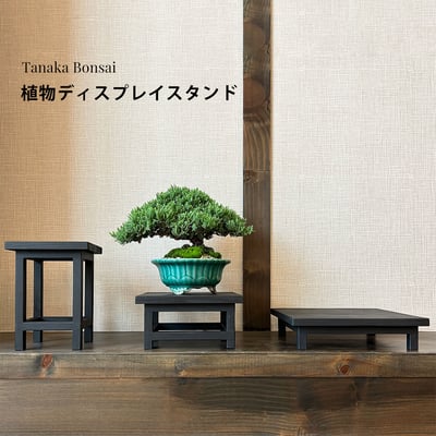 植物ディスプレイスタンド｜木製植物展示架4