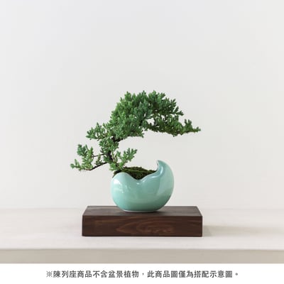 陳列座｜名片架 [胡桃木色]10