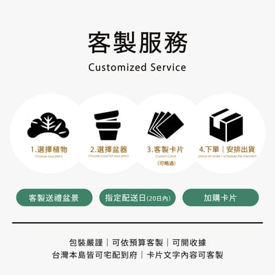 盆景客製｜Customized1