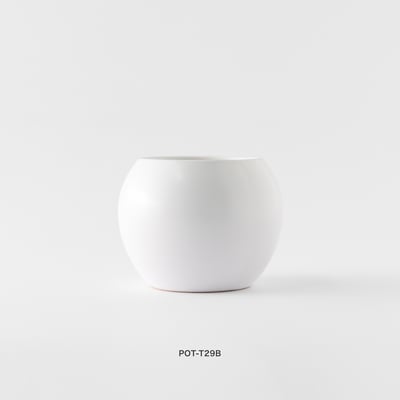 觀葉盆栽客製｜Custom Foliage Plants8