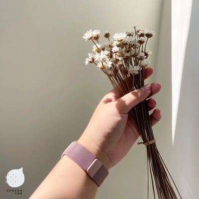 這不是高級感那什麼才是的粉金磁吸錶帶4