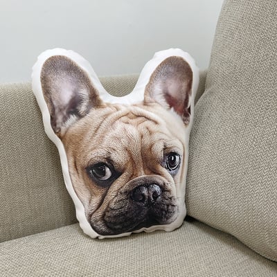 客製 ｜皮革寵物抱枕 (雙面印刷)1