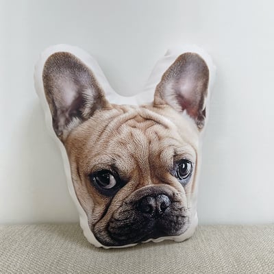 客製 ｜皮革寵物抱枕 (雙面印刷)2