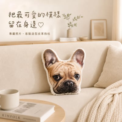 客製 ｜皮革寵物抱枕1