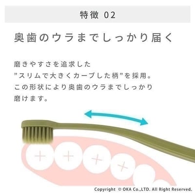 日本製GOOD DESIGN奧齒速乾牙刷★  #0218339312