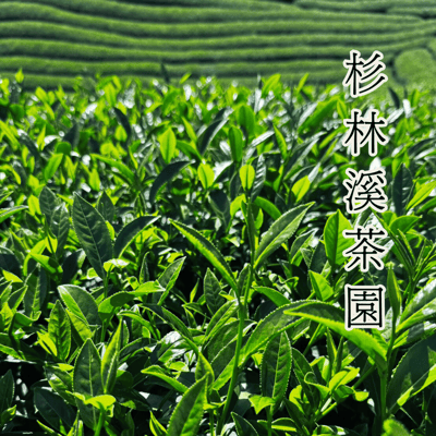 五行中焙火高山烏龍 | 采食 WuMiLa2