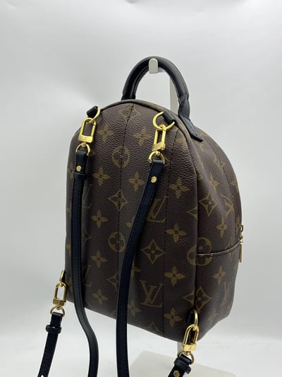 Louis vuitton後背包11