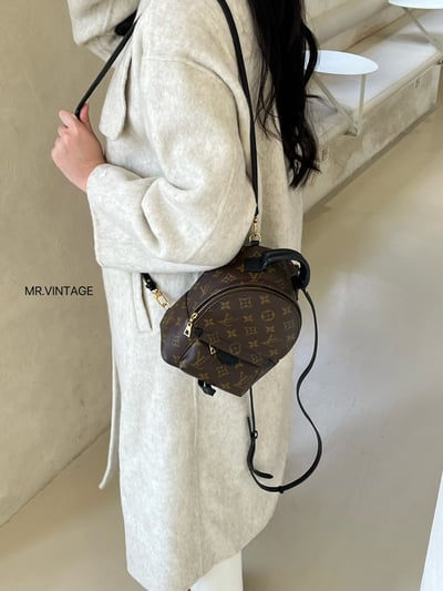 Louis vuitton後背包1