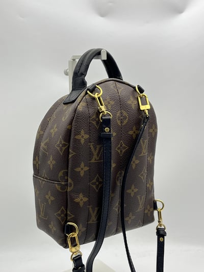 Louis vuitton後背包9