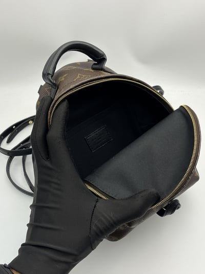 Louis vuitton後背包15