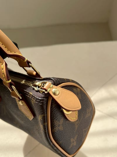 Louis Vuitton Mini Nano 新款5