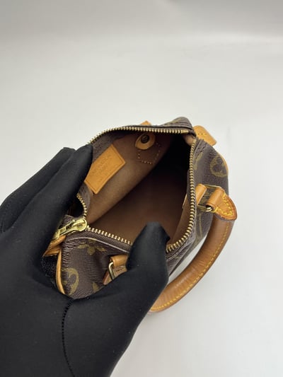 Louis Vuitton Mini Nano11